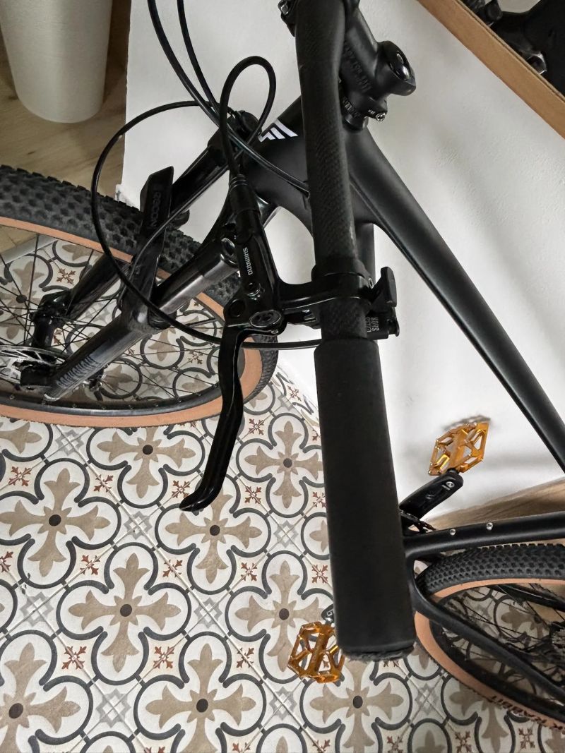 Felt Carbon 29" 