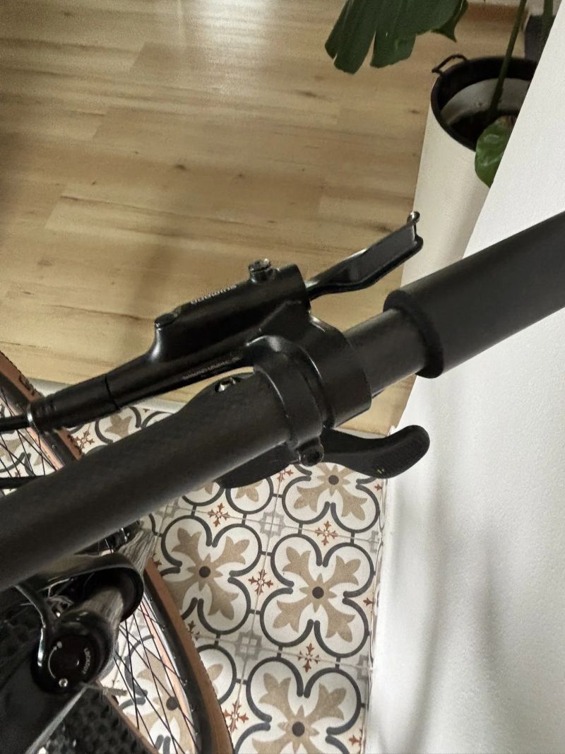 Felt Carbon 29" 