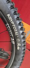 2x Continental Cryptotal 29x2.4
