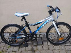 Rock Machine Surge 20