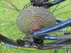 Nukeproof scout 290