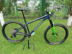 Nukeproof scout 290
