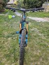 Pivot Cycles Firebird