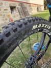 Pivot Cycles Firebird