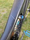 Pivot Cycles Firebird