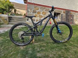 Pivot Cycles Firebird