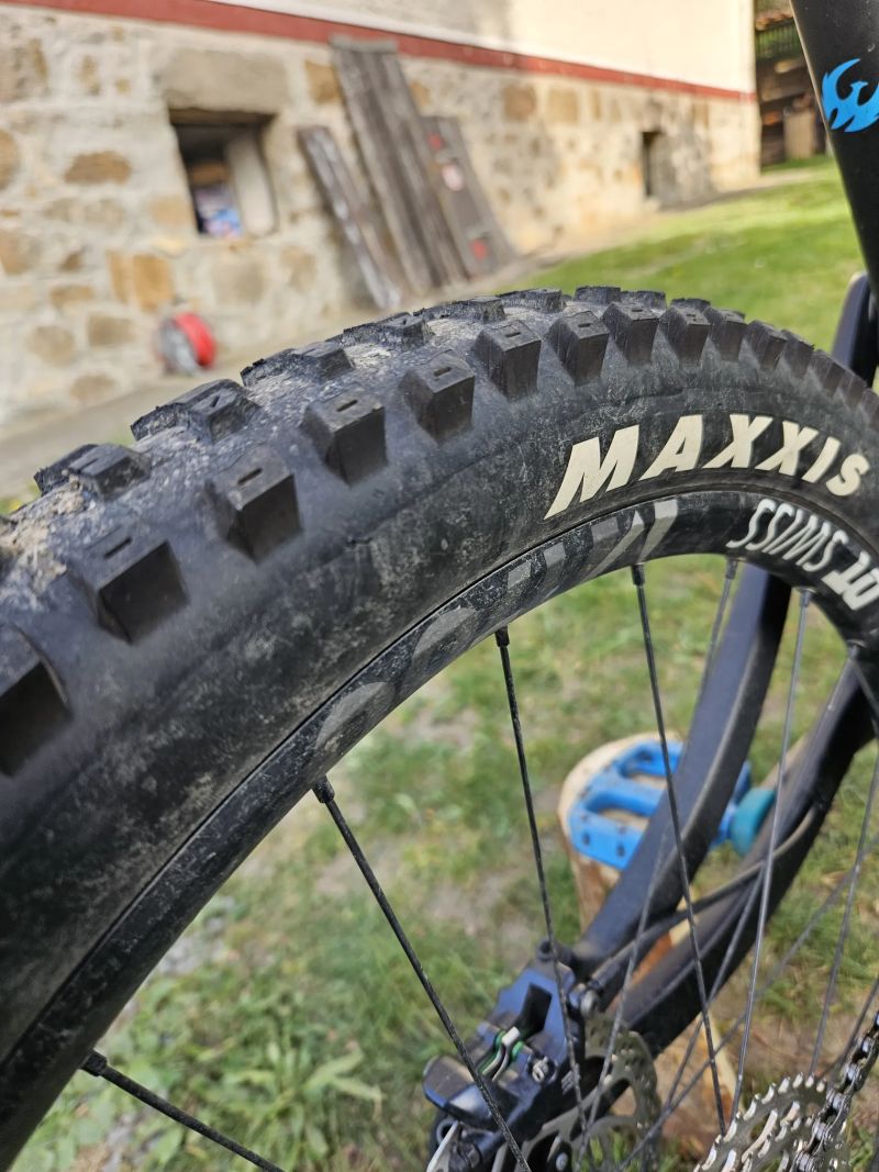 Pivot Cycles Firebird