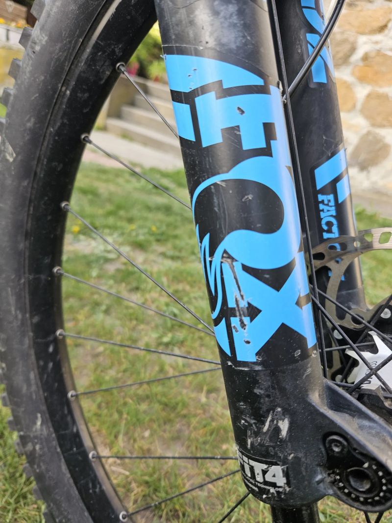 Pivot Cycles Firebird
