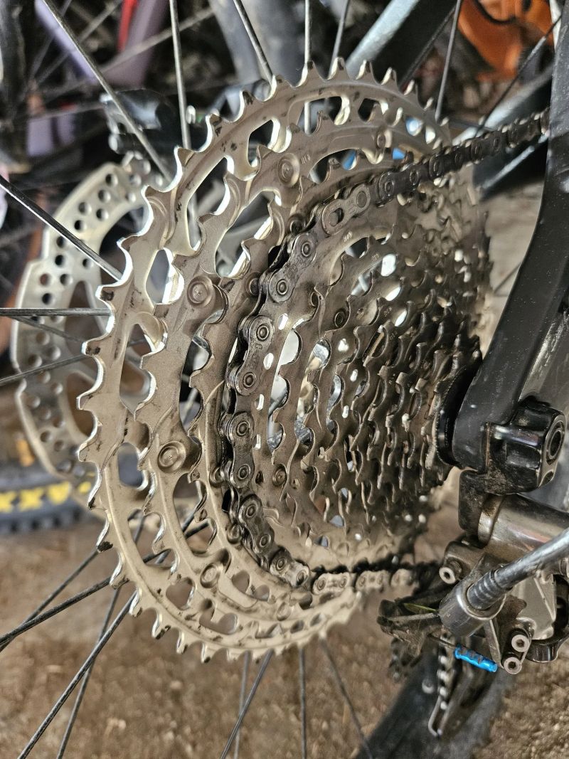 Pivot Cycles Firebird