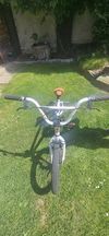 Mongoose