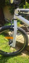 Mongoose