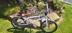 Mongoose