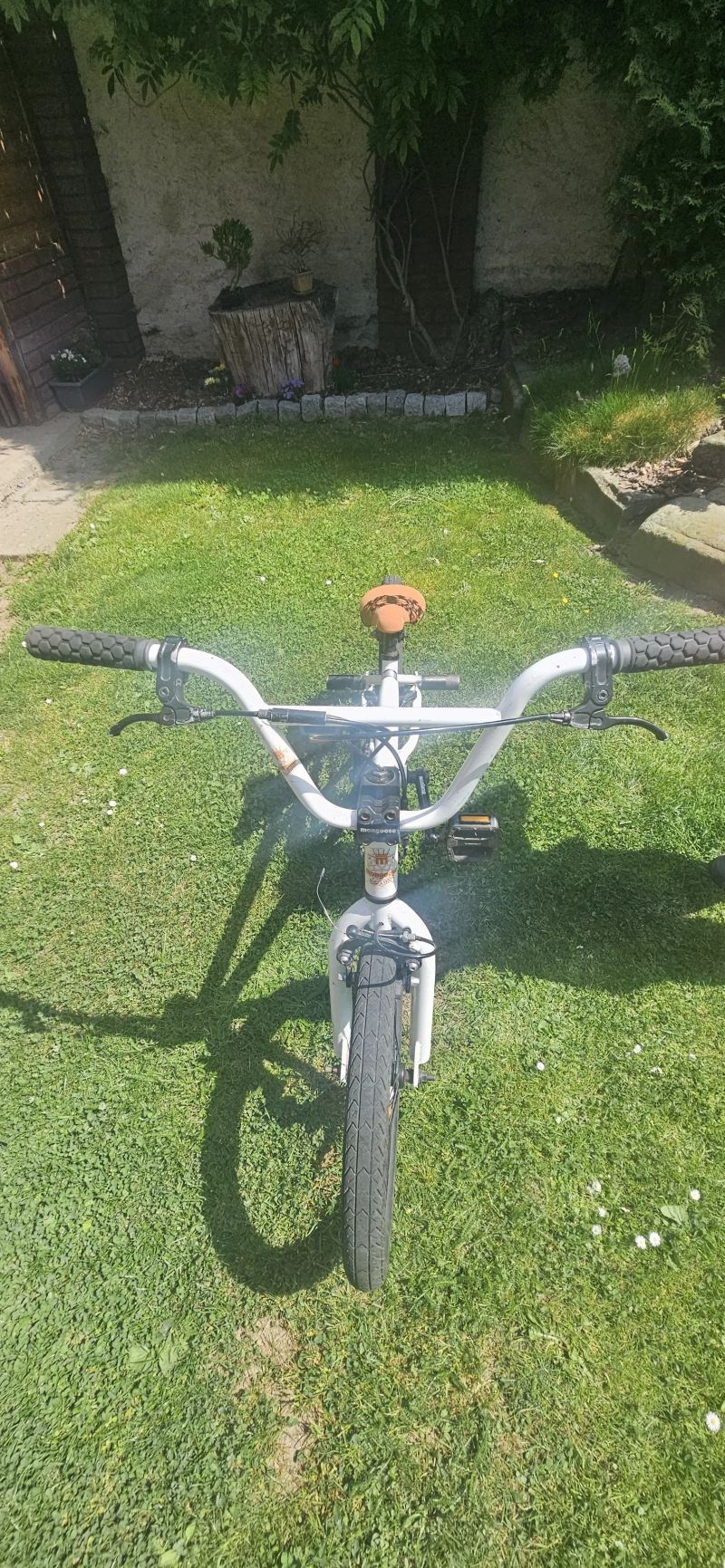 Mongoose