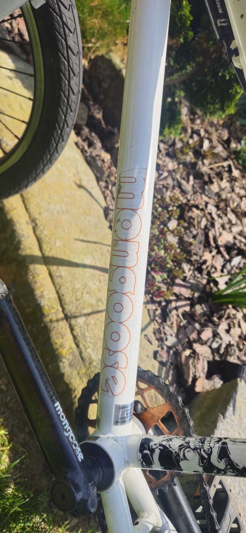 Mongoose