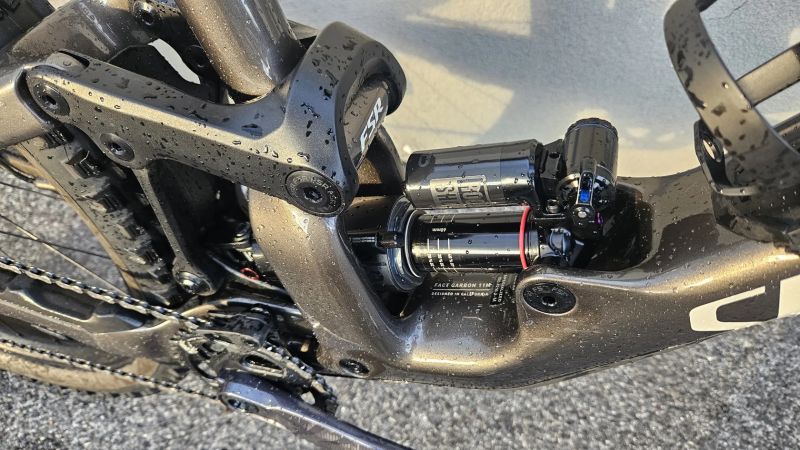 Specialized Enduro Custom AXS