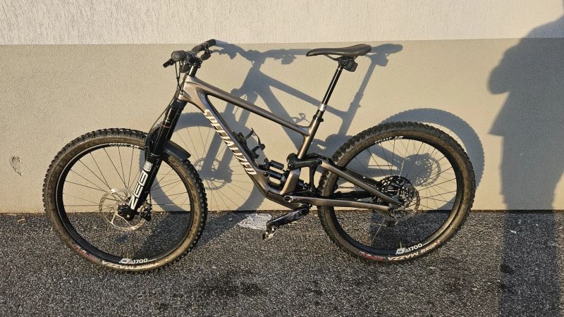 Specialized Enduro Custom AXS