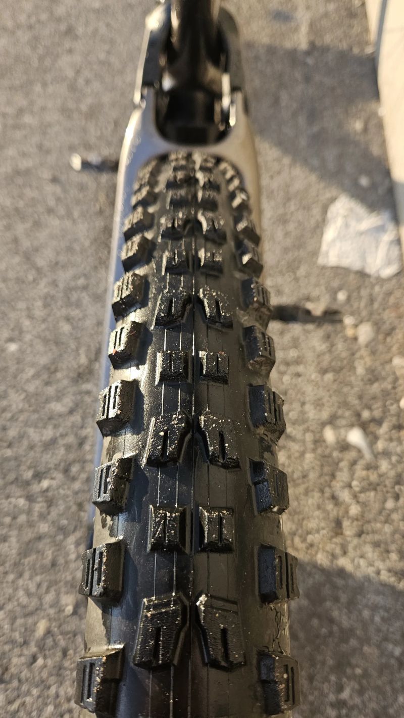 Specialized Enduro Custom AXS