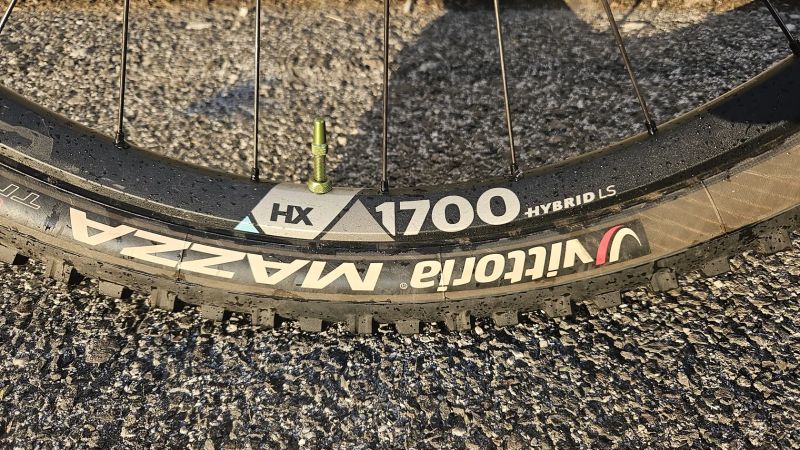 Specialized Enduro Custom AXS
