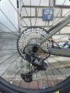 Trek Roscoe 9