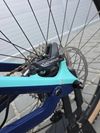 Canyon Strive CF 6.0 Carbon 29″ velikost L