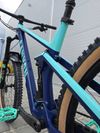 Canyon Strive CF 6.0 Carbon 29″ velikost L