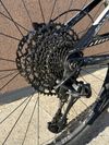 Trek Remedy 8
