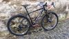 BOVELLI WR Compositi 29"