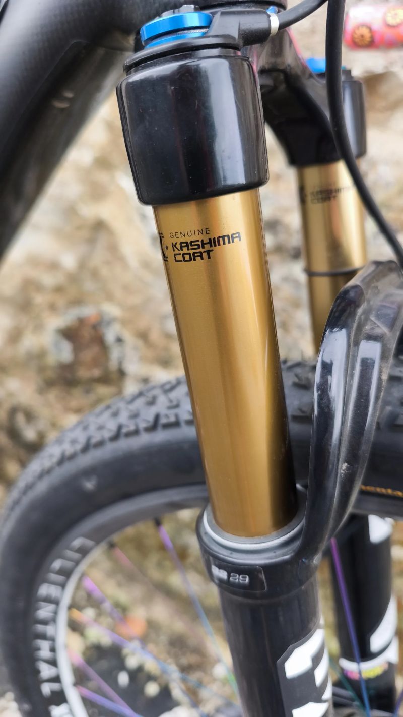 BOVELLI WR Compositi 29"