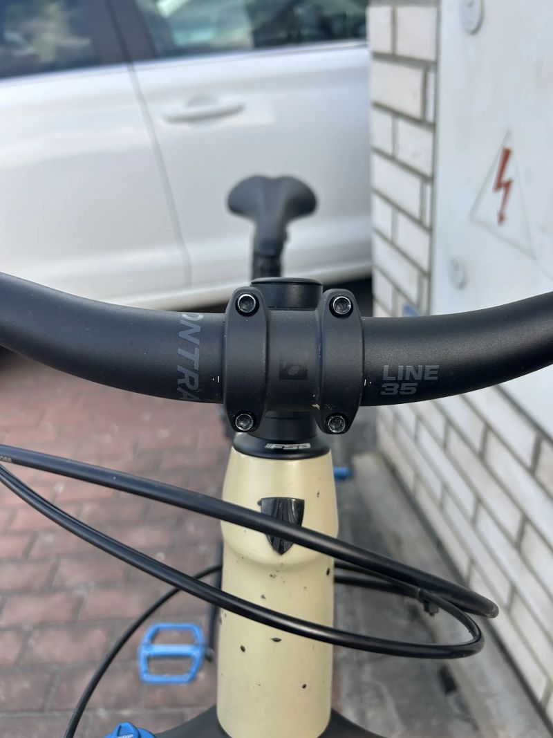Trek Roscoe 9