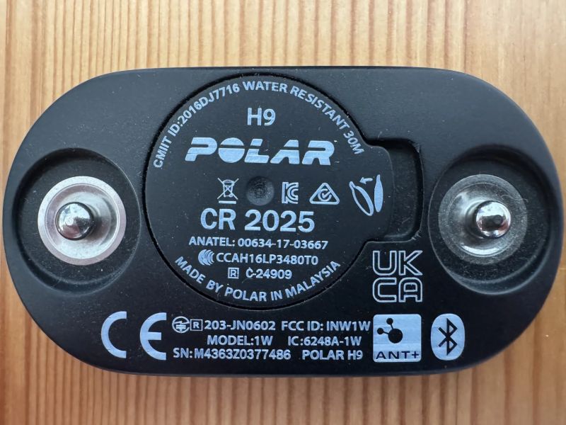 Polar H9