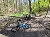 Force Forkys 24"