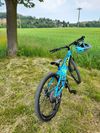 Force Forkys 24"