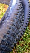 WTB plášť Trail BOSS 2.25 - 2ks