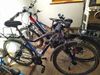 Crussis e-country 7.7 S