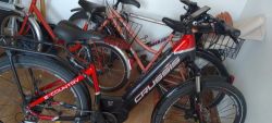 Crussis e-country 7.7 S