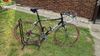 Cinelli