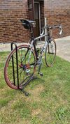 Cinelli