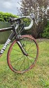 Cinelli