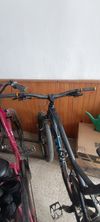 Canyon Strive 5.0