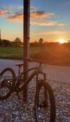 Trek FUEL EX 8 Gen 6