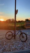 Trek FUEL EX 8 Gen 6