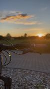 Trek FUEL EX 8 Gen 6