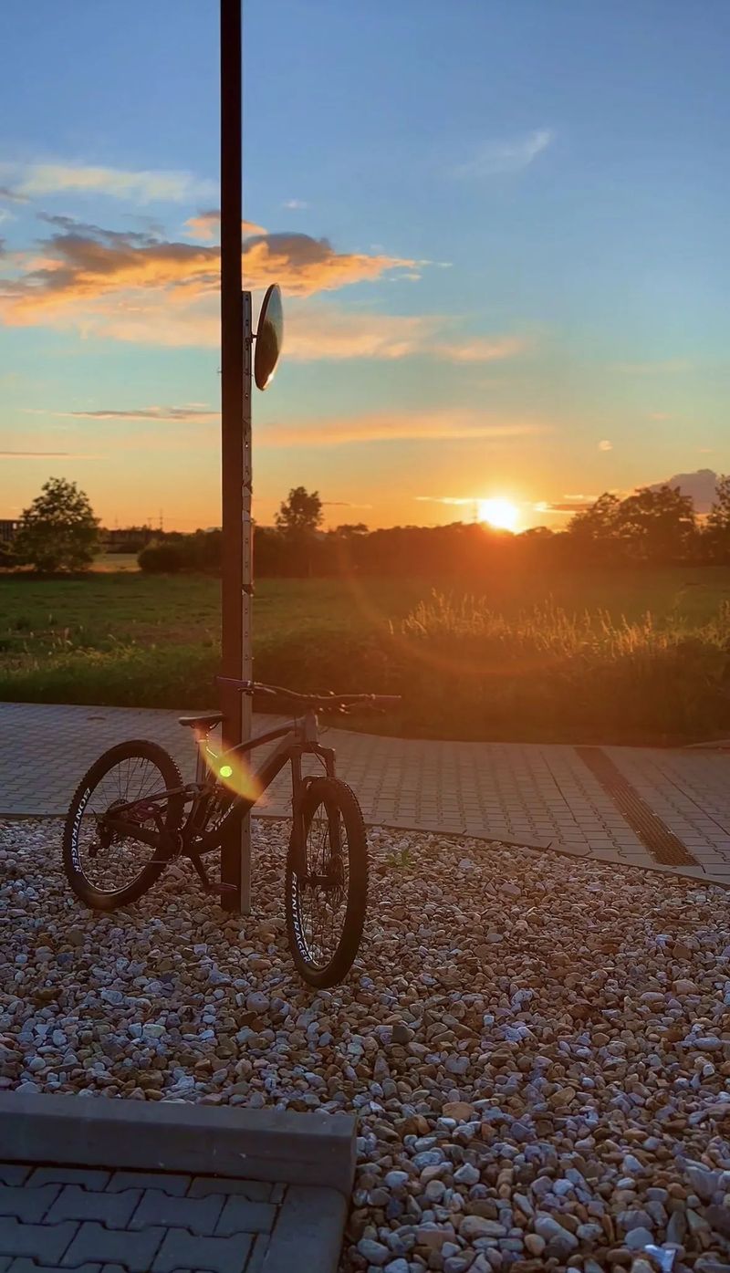 Trek FUEL EX 8 Gen 6