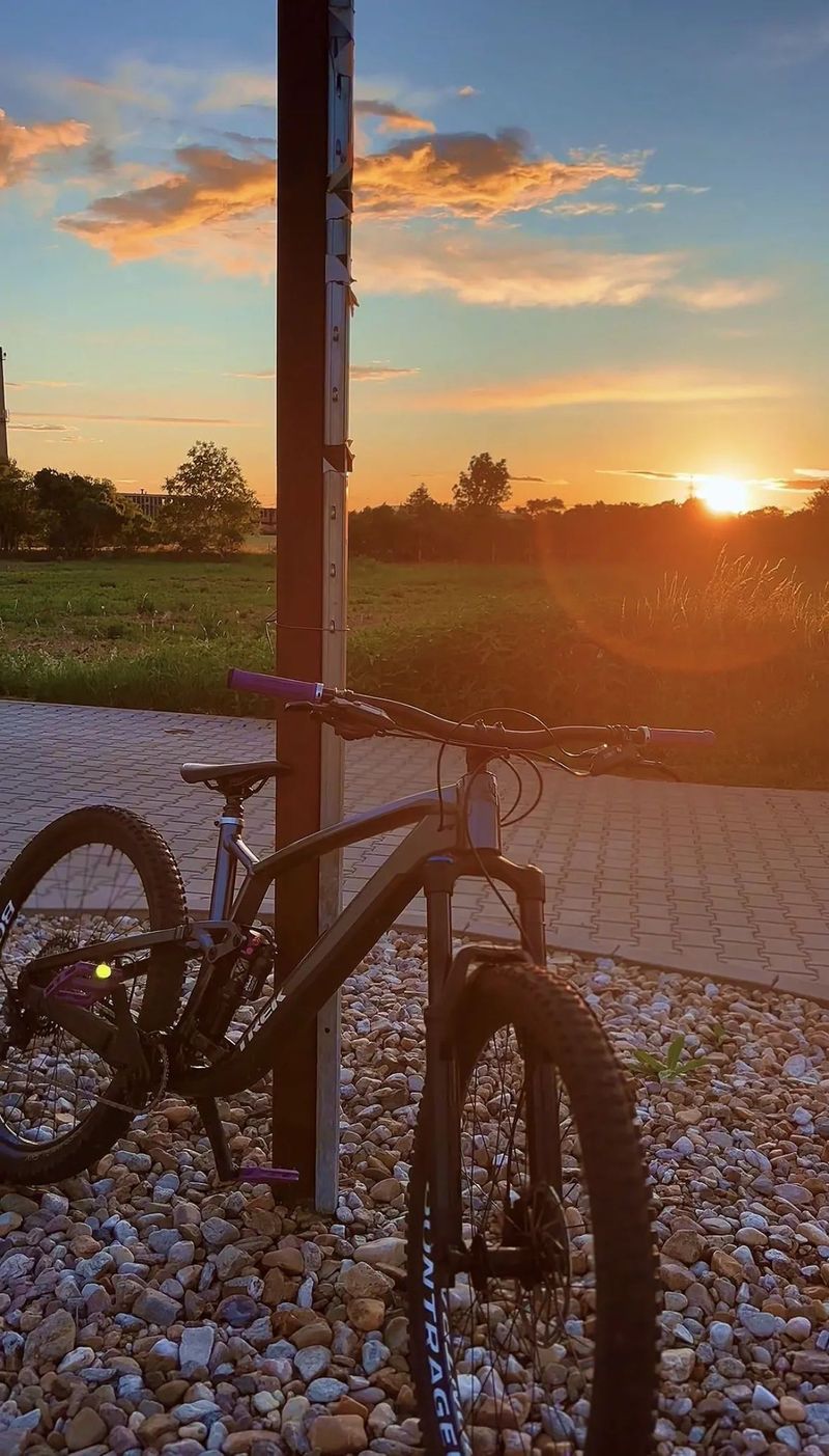 Trek FUEL EX 8 Gen 6