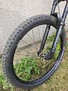 Haibike Allmtn CF9