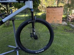 Focus Raven 8.8