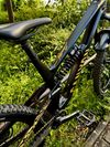 Canyon Torque CF8 Mullet