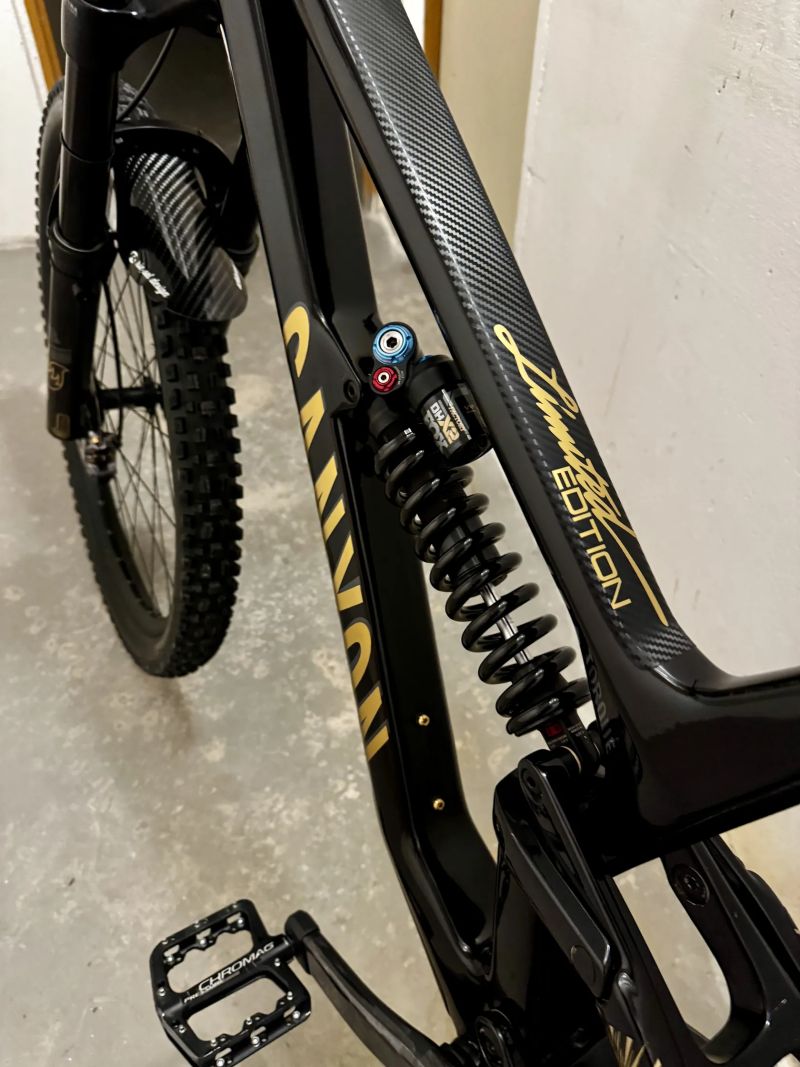 Canyon Torque CF8 Mullet
