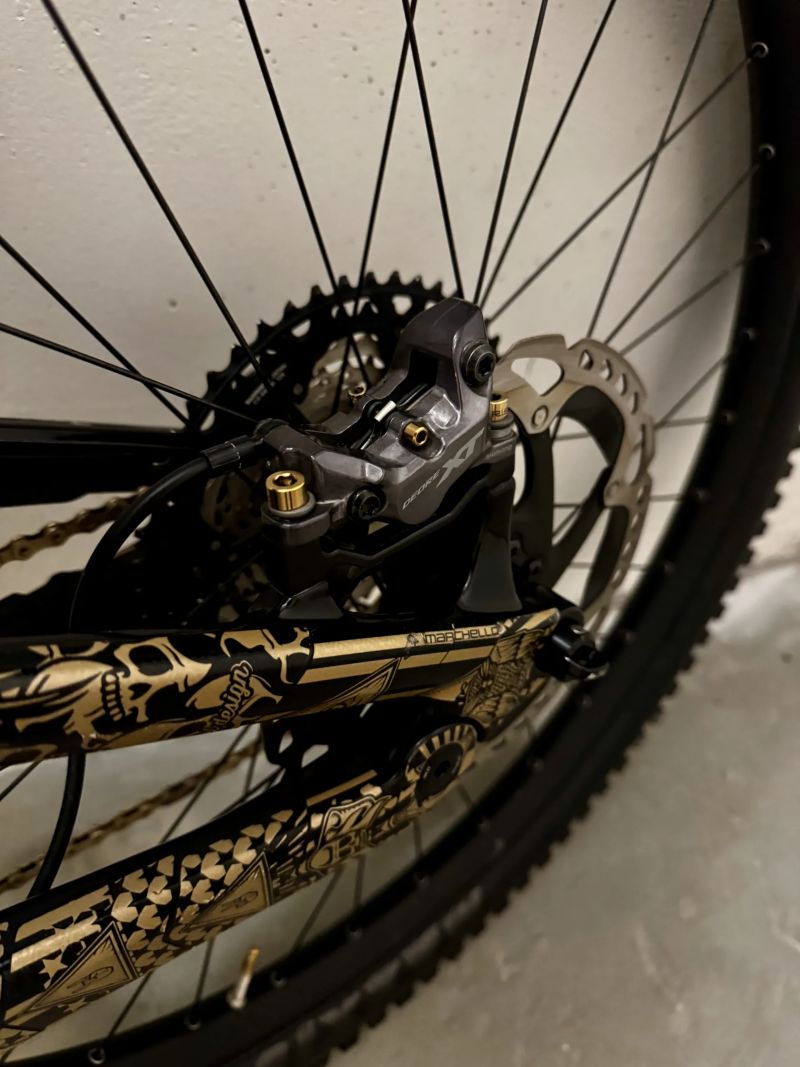 Canyon Torque CF8 Mullet