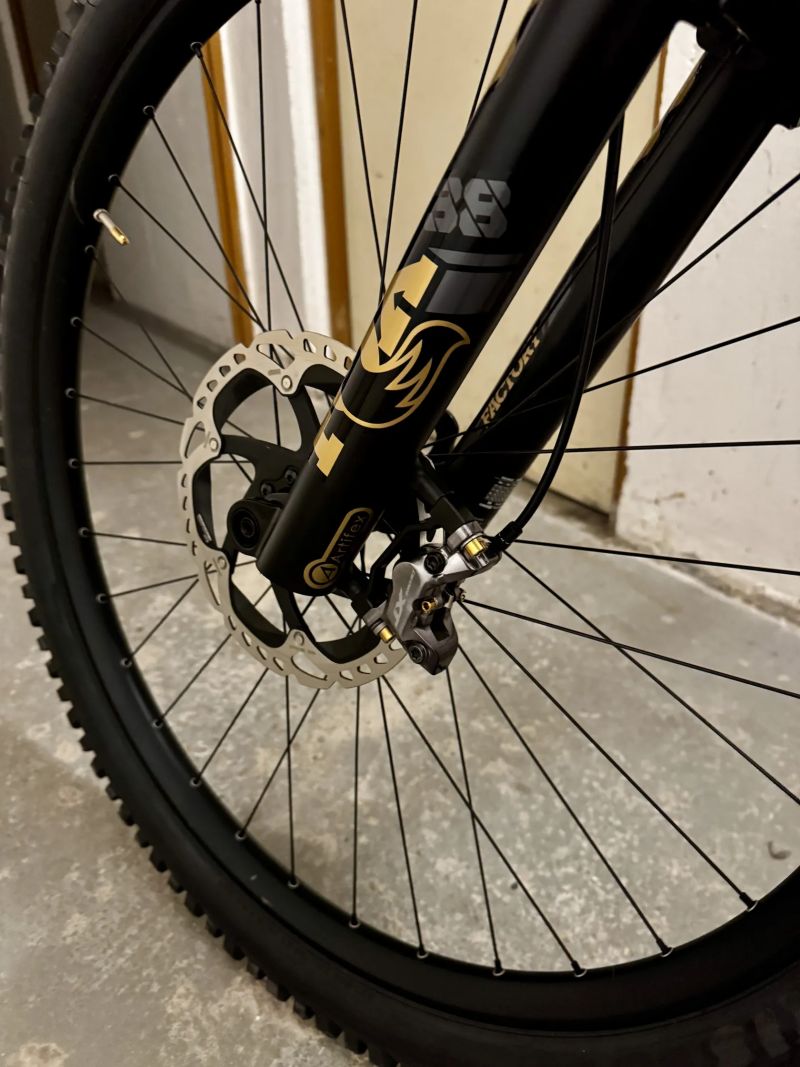 Canyon Torque CF8 Mullet